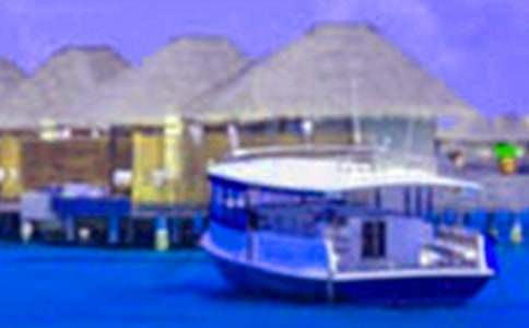 ���ڵĸ�һ����900��