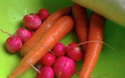 �ƌW(xu��)�������������L_650��