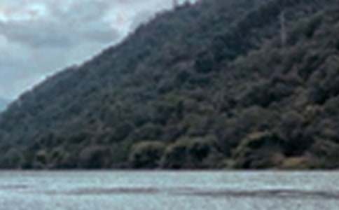 Ȫ��������ɫ����