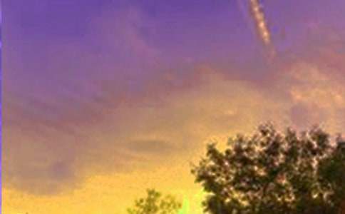 �茑�ľ�ɫ������