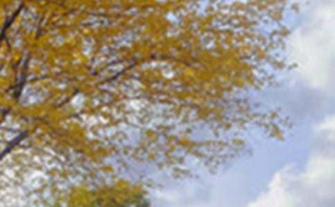 ���@���[��ɫ���ģ����x48ƪ��