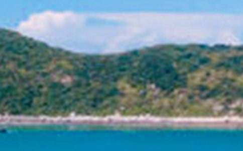 �茑����ɽ��ɫ������