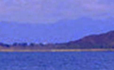 �����B�ľ�ɫ������