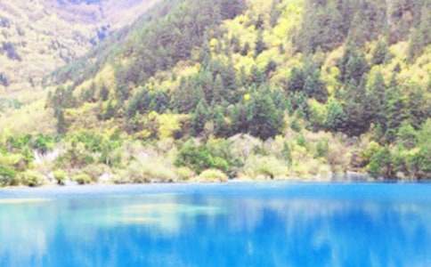 九寨溝旅游作文400字(精選52篇)