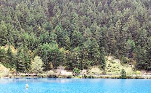 美麗的九寨溝初一作文