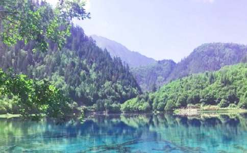 九寨溝旅游作文500字