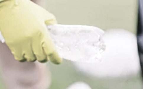 垃圾山變花果園作文