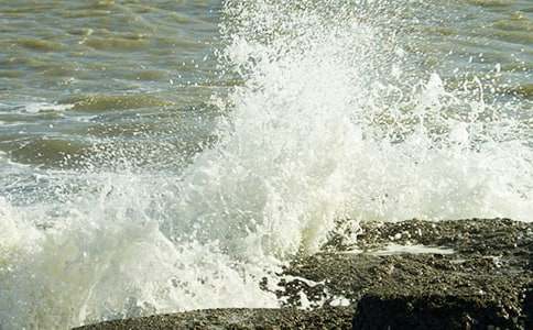 �����е�һ���˻����ġ����T��