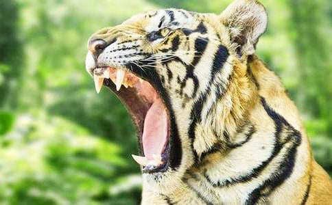 ��ͯԢ�Թ��£�С���Ƕ����ϻ�