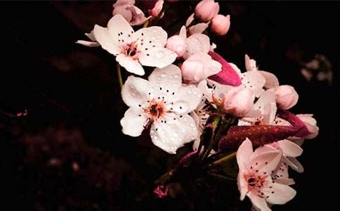 �滨�_(k��i)�˳�������