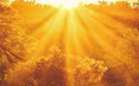 黎明的作文700字