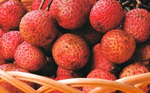 ���l(xi��ng)����֦��(sh��)����