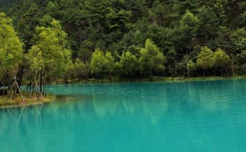 �����ųǸ�����ӛ����800��