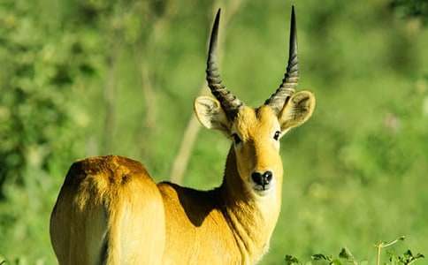 �������ݵ��m(x��)��(xi��)����