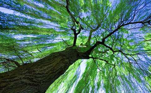 ���Ĵ����������