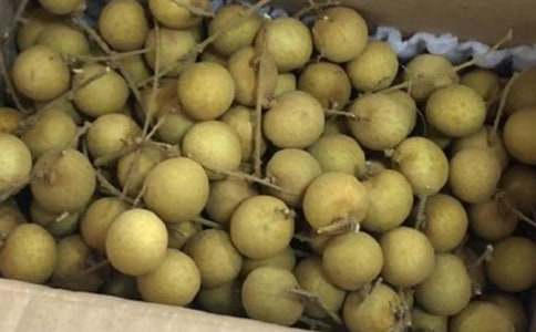 �茑���۵�����350�֣����x46ƪ��