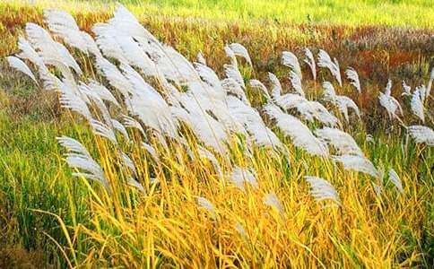 �JȔ�����_������