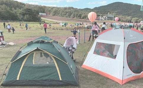 �P(gu��n)��¶�I����600��5ƪ