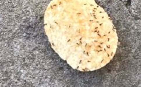 Λρ�Ĵ�������ķ���