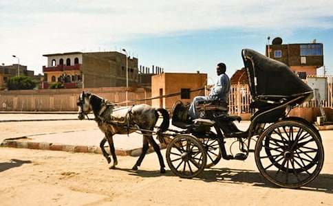 �����R܇���R���ģ�ͨ��10ƪ��