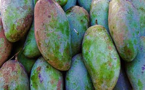 描寫芒果樹的作文