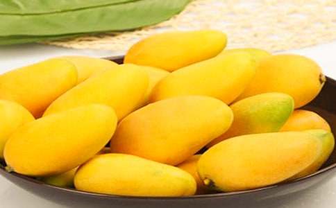 小學(xué)生芒果樹的作文