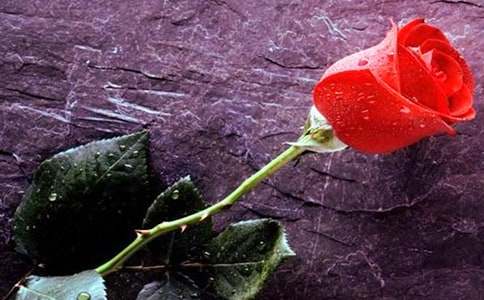 ����õ�����ģ����x38ƪ��