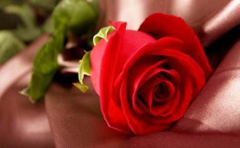 ����õ�廨����350�֣����x38ƪ��