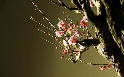 ÷�����Ľ������飨ͨ��28ƪ��