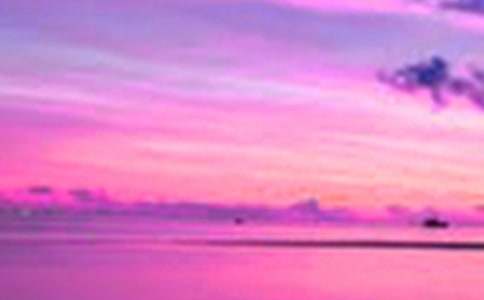 ���������ﶬ���������ģ�ͨ��45ƪ��