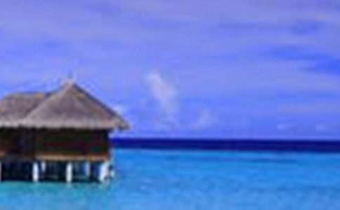 西湖的美景作文