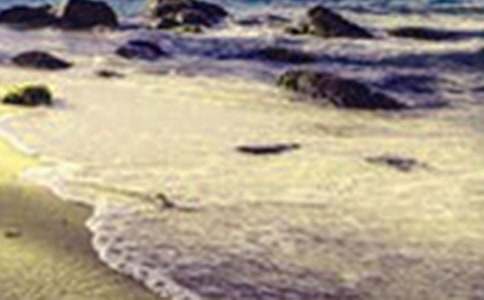 ����Ȼ����������