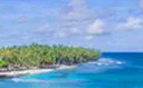 �茑�P(y��ng)�ݵ���������