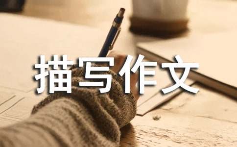 內(nèi)疚心理描寫作文(精選25篇)