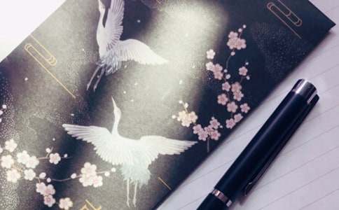 ����Ƭ��ĸ�o���ӵļ��Z170��