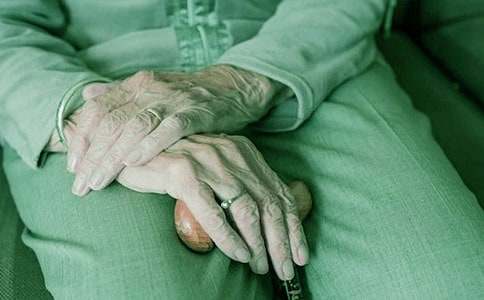 奶奶家的貓作文(精選13篇)