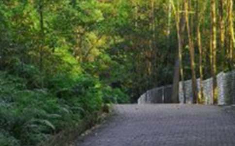 爬山優(yōu)秀作文