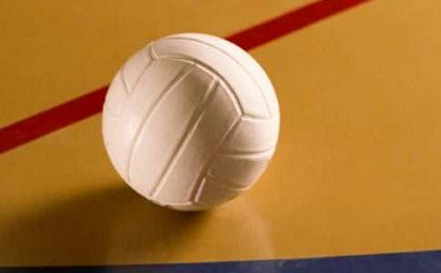 觀看排球比賽作文500字