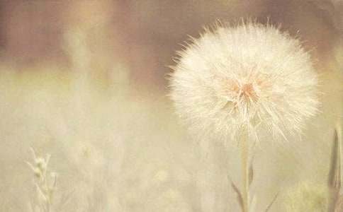 С�W(xu��)�����ѹ�Ӣ�Ŀ��D����