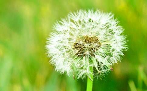 �ѹ�Ӣ�Lԇ��ϣ����һ����