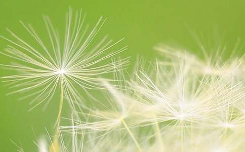 �ѹ�Ӣ�^������ 300��