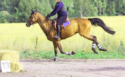 ��һ���T�R��������500��