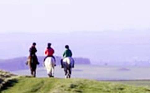 �P(gu��n)���T�R�Ę�(l��)Ȥ����