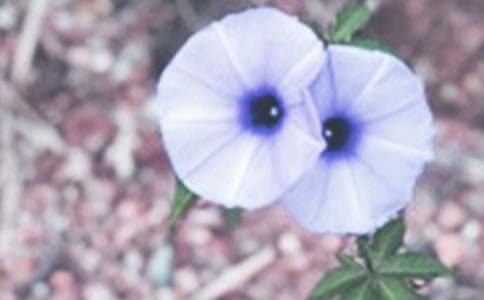 ���P(gu��n)������������400�֣����x29ƪ��