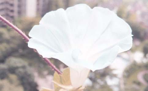 �^�젿�������ģ����x41ƪ��