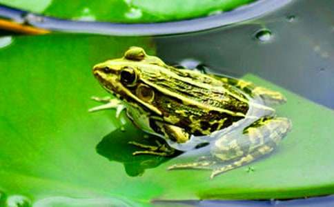 ���܋������������9ƪ