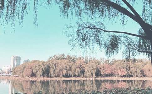 【精品】秋季作文300字四篇