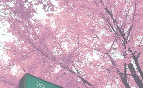 �＾����֮�I���M������