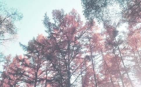 小班秋季教學(xué)計劃(精選13篇)