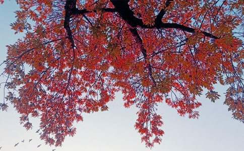 �����A����������600��4ƪ